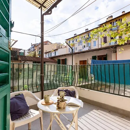 Guesthost - Lights, Camera, Action! - *